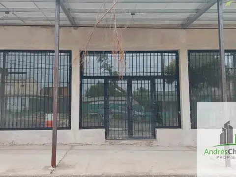 Presidente Illia 700