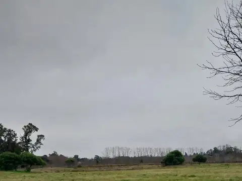 Terreno en Venta de 2000,0 m2