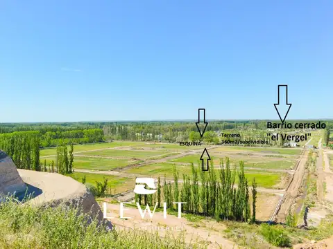 Terreno en Venta en Centenario, USD 40.000