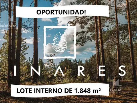 Lotes en Pinares C.C. Exaltacion de la Cruz