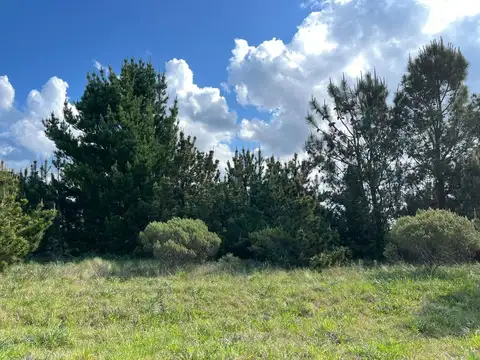 Terreno en Venta de 375,0 m2