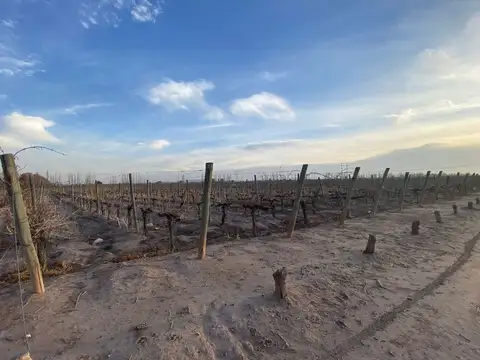 Lote en Venta en Coquimbito Maipú