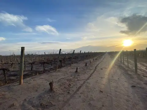 Terreno en Venta en Coquimbito, USD 1.550.000