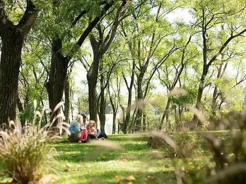 Terreno en Venta 34  mts Fondo