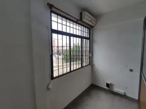 NOGUERA 100