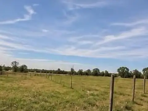 Terreno - venta - argentina, mercedes - calle 119