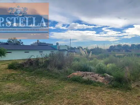 Angelica al 5700