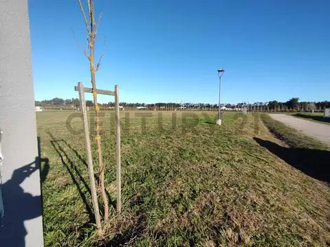 Terreno en Venta 36  mts Frente