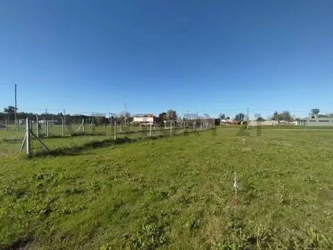 TERRENO EN VENTA EN SICARDI