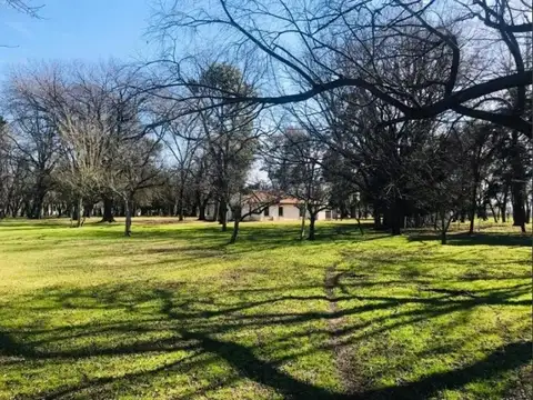 Terreno en Venta 59  mts Fondo