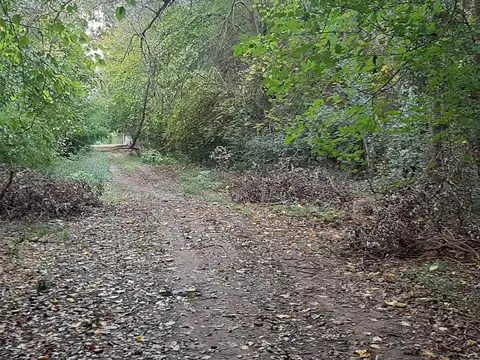 Terreno en Venta de 6500,0 m2