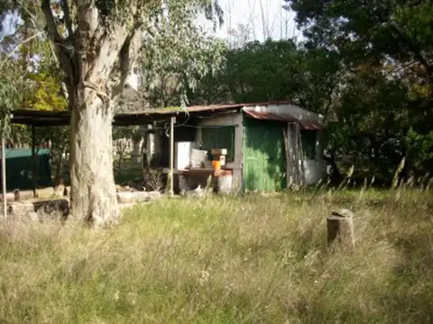 33 Bis 1165