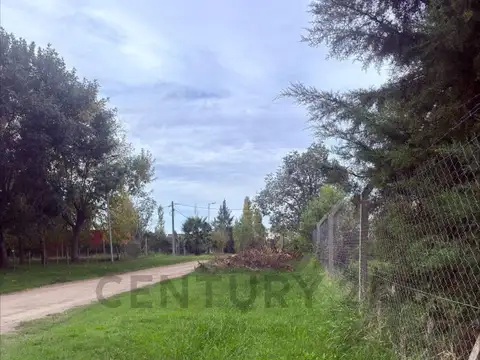 78 La hermosura , Piso 0