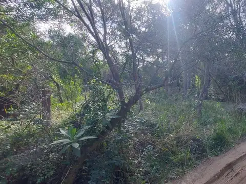 TERRENO EN VENTA A 400 M DEL MAR S. I. LA PEDRERA