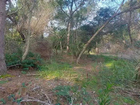 Terreno en Venta de 512,0 m2