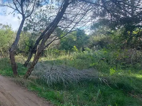 Tercera entrada Santa Isabel de la Pedrera 100