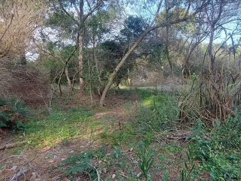 Terreno en Venta en La Pedrera, USD 21.000