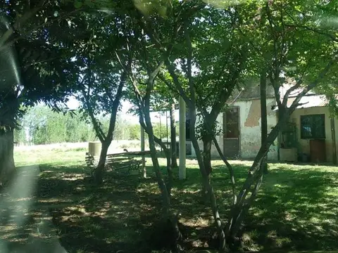 Quinta en Vela 22000m2 Tandil