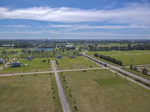 ingeniero miglierini