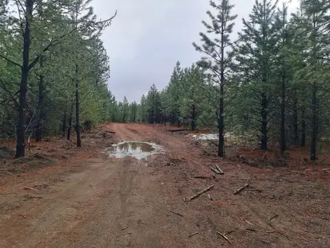 Terreno en Venta en San Carlos de Bariloche, Bariloche