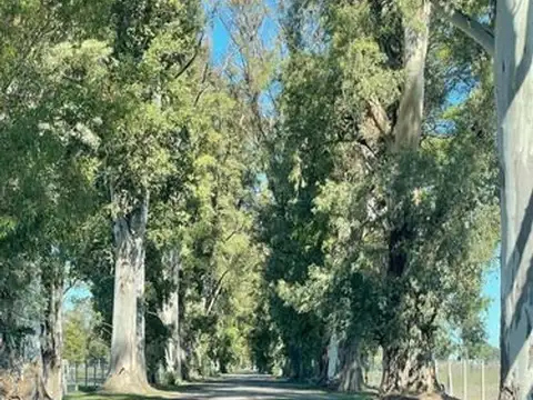 Terreno en Venta de 1100,0 m2