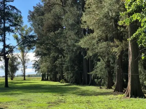 Terreno en Venta en General Rodriguez, USD 45.000