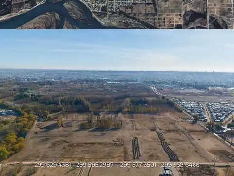 Cornelio Saavedra 2300