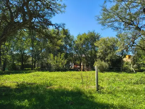 Cornelia Heinrich 1300