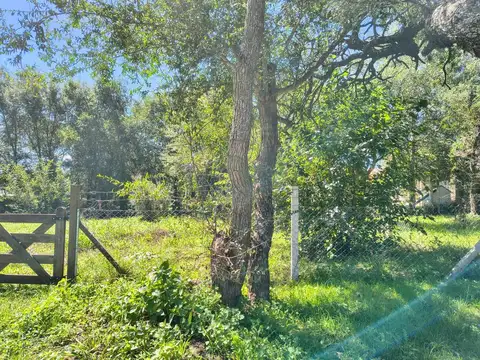 Cornelia Heinrich 1300