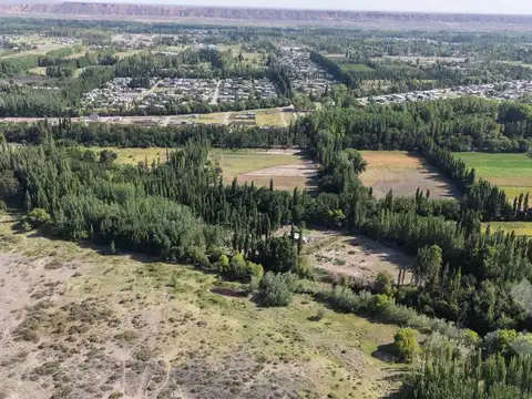 En Venta, Chacra de 7 Hectáreas, en Plottier, Neuquén