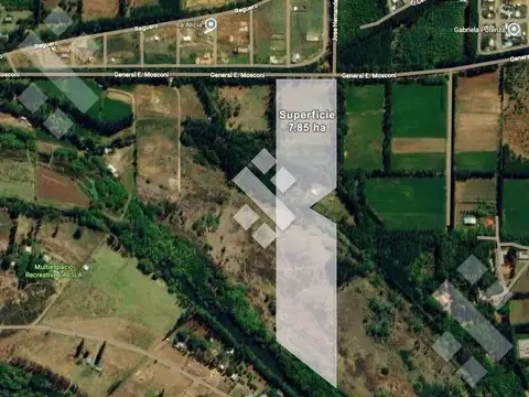 En Venta, Chacra de 7 Hectáreas, en Plottier, Neuquén