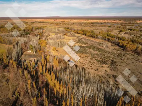 En Venta, Chacra de 7 Hectáreas, en Plottier, Neuquén