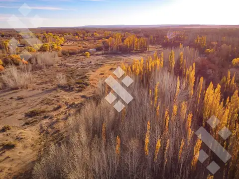 En Venta, Chacra de 7 Hectáreas, en Plottier, Neuquén