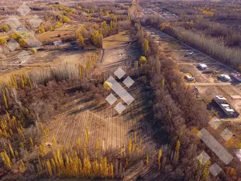 En Venta, Chacra de 7 Hectáreas, en Plottier, Neuquén