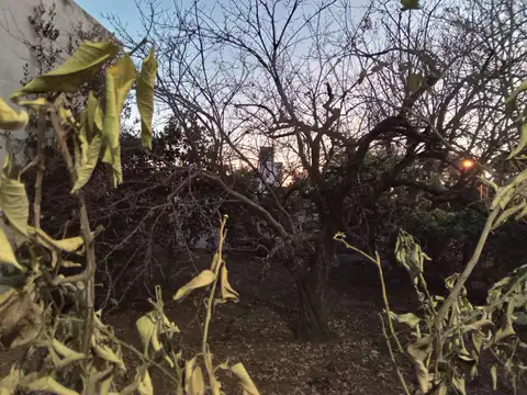 Terreno en Venta 18  mts Fondo