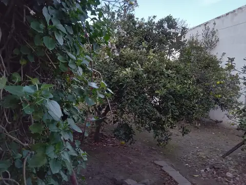 Pancho Ramirez 600