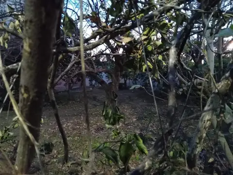 Terreno en Venta 10  mts Frente