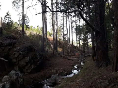 Terreno en Venta de 30839,0 m2