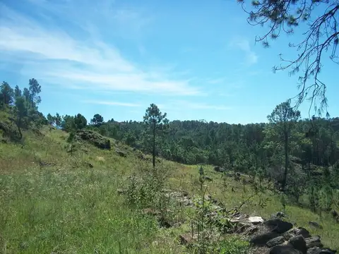 Terreno en Venta en Yacanto Calamuchita, USD 75.000