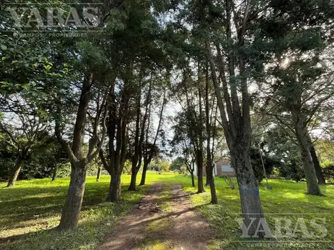 Quinta en Venta en San Pedro, USD 100.000