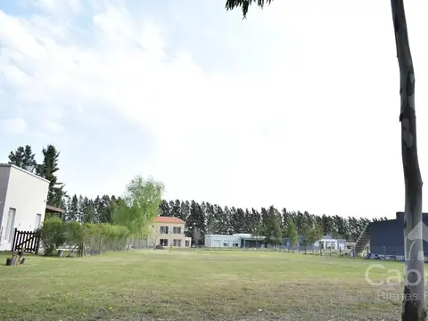 Terreno en Venta 60  mts Fondo