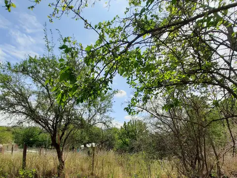 VENTA-LOTE VILLA ANIMI-LA GRANJA-560M2