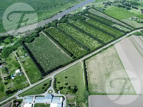 Terreno en Alquiler de 42739,0 m2