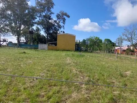 Los Cedros Y Las Camelias