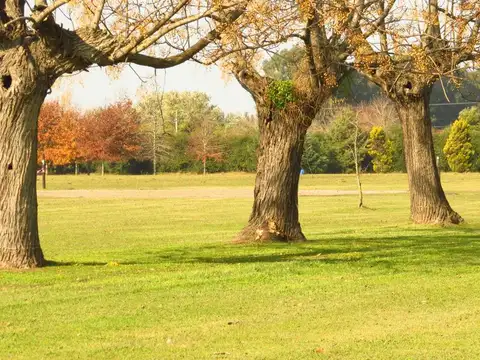 Terreno en Venta de 1025,0 m2