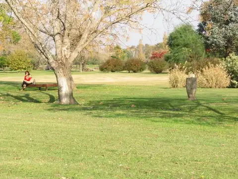 Lote Laguna Campo