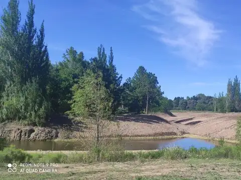 Lote Laguna Campo