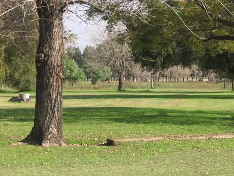 Terreno en Venta en Countries y Barrios Cerrados en Campana, USD 45.000