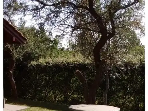 VENTA DE LOTE CON CABAÑAS EN SAN LUIS-BARRIO NUEVO MERLO-DPTO DE JUNIN