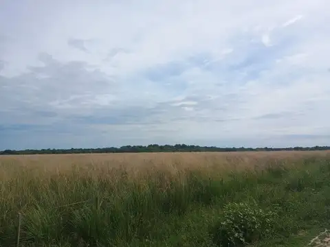 CAMPO GANADERO de 1097 HAS en San Javier